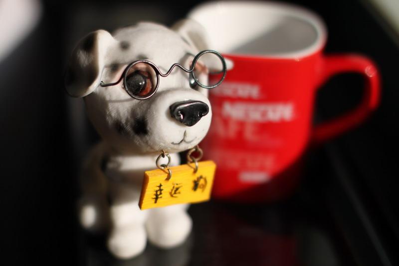 luckydog意思中文翻译，luckydog是什么意思（千万不要翻译幸运狗）