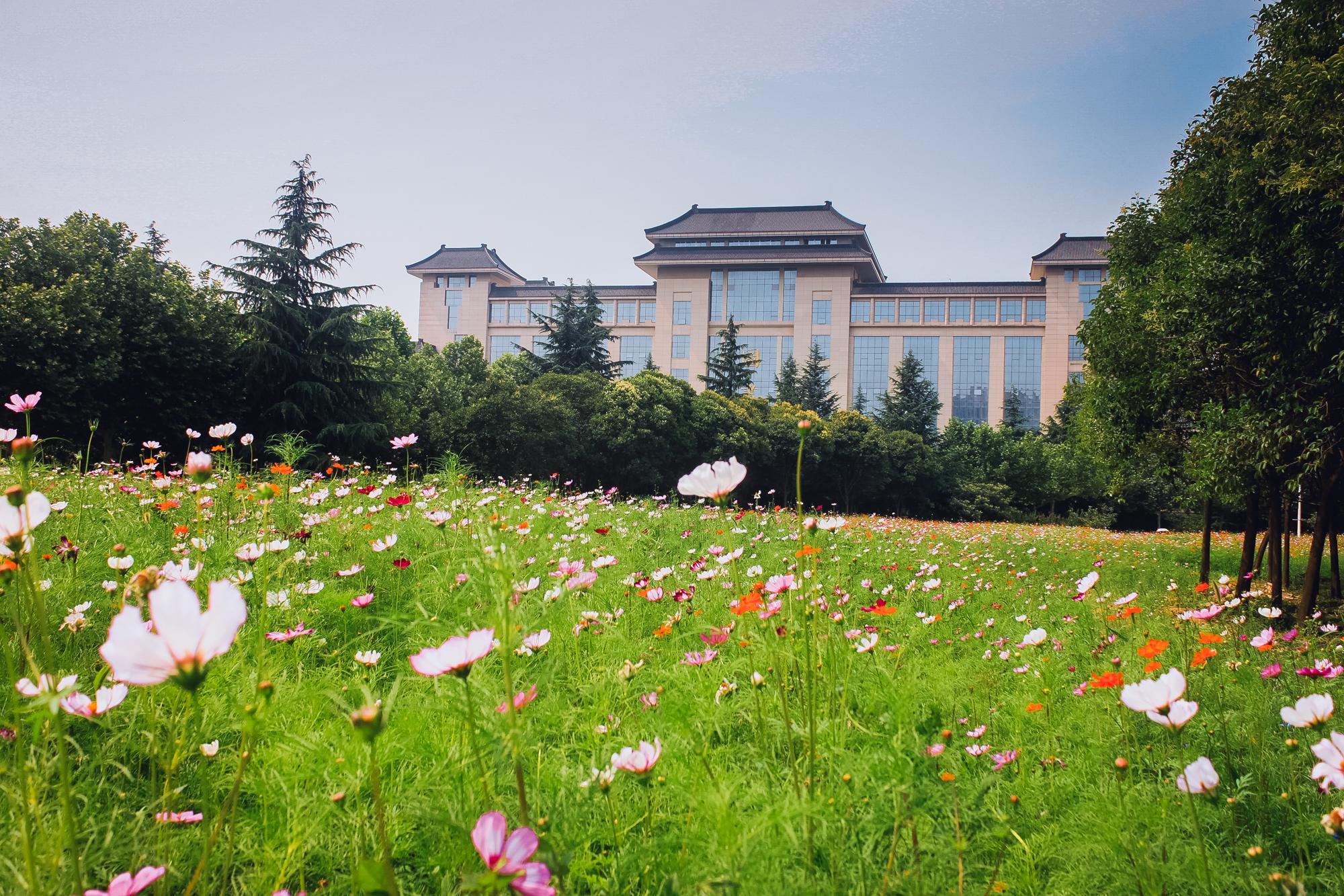 陕师大长安校区，陕师大有几个校区（陕师大有几个校区地址）