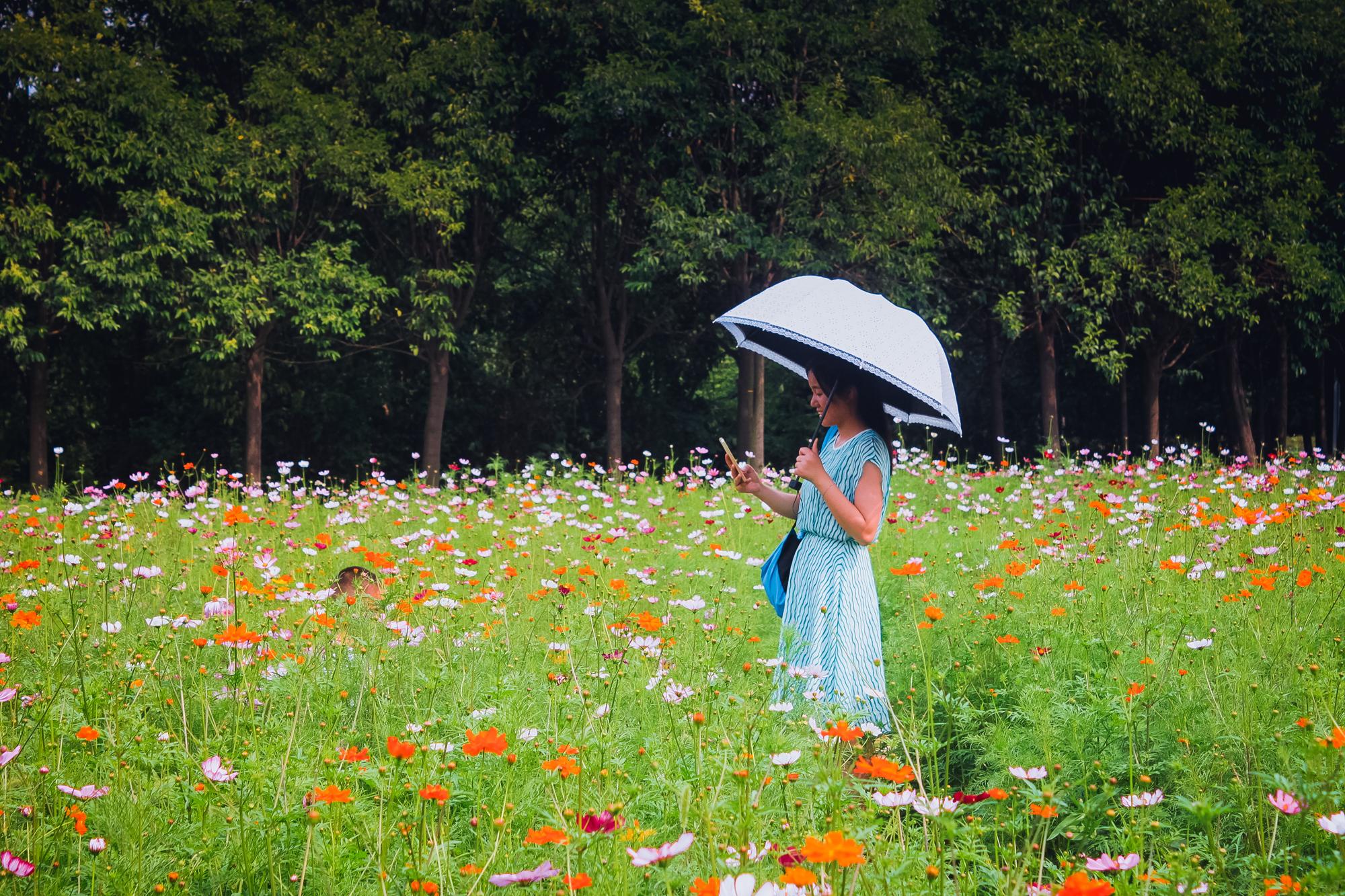 陕师大长安校区，陕师大有几个校区（陕师大有几个校区地址）