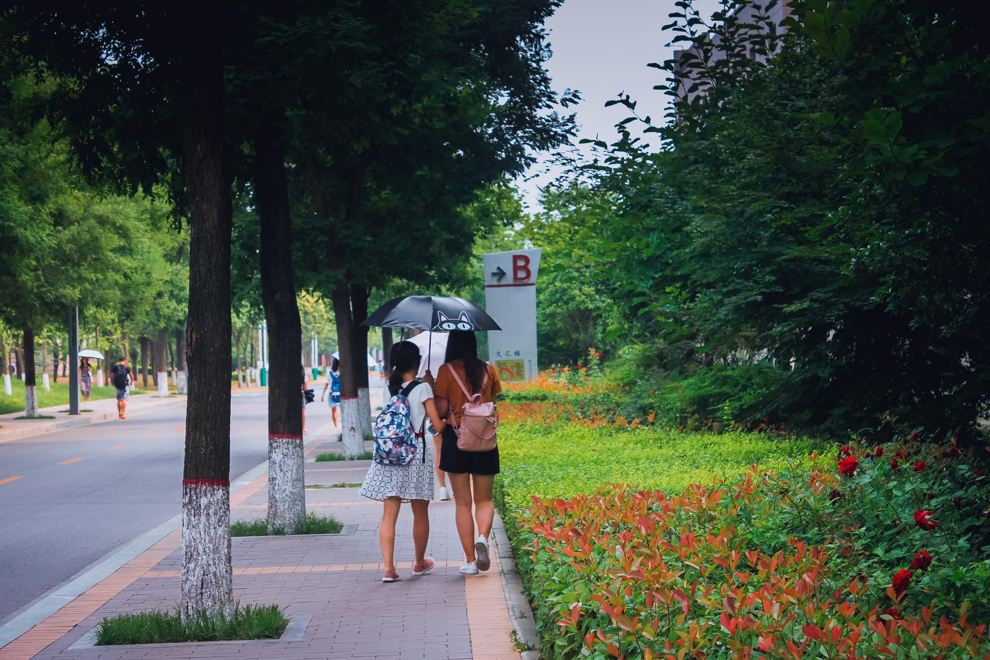 陕师大长安校区，陕师大有几个校区（陕师大有几个校区地址）