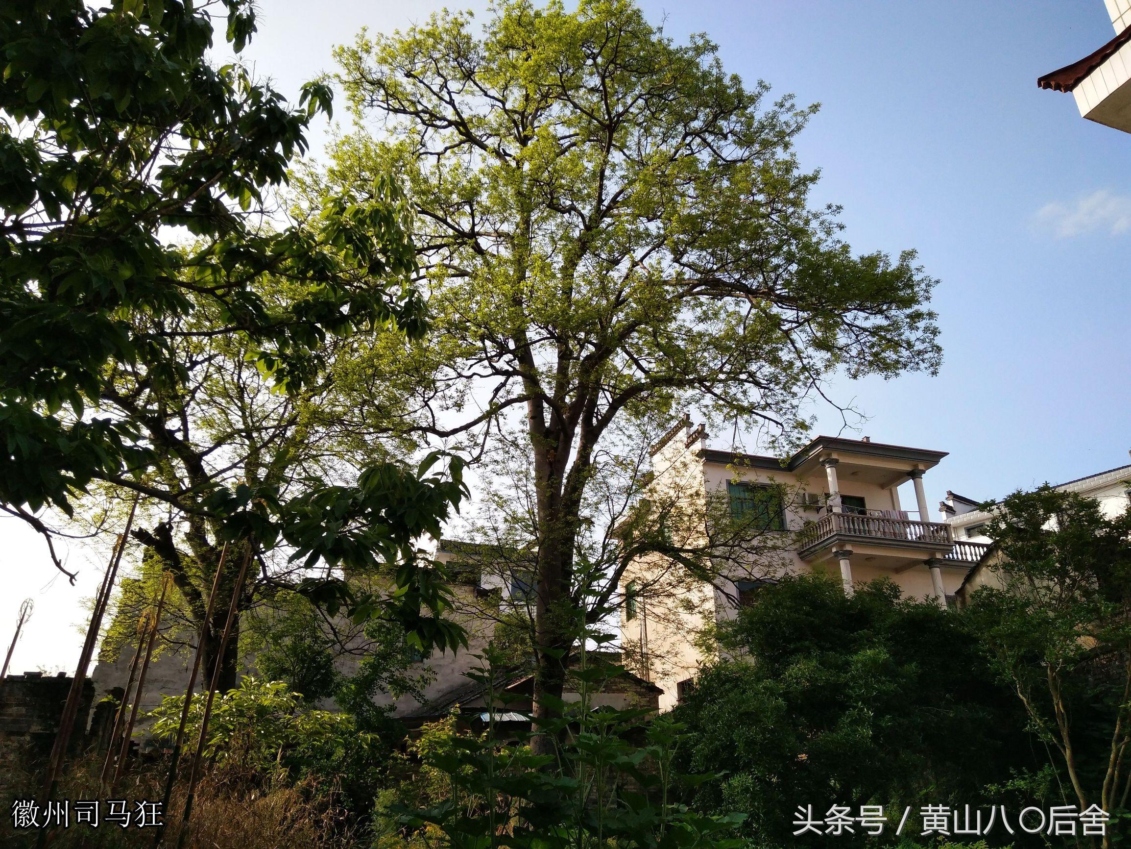 堨字不同读音意思解释，堨怎么读（因水利工程而得名和兴旺的古村落）