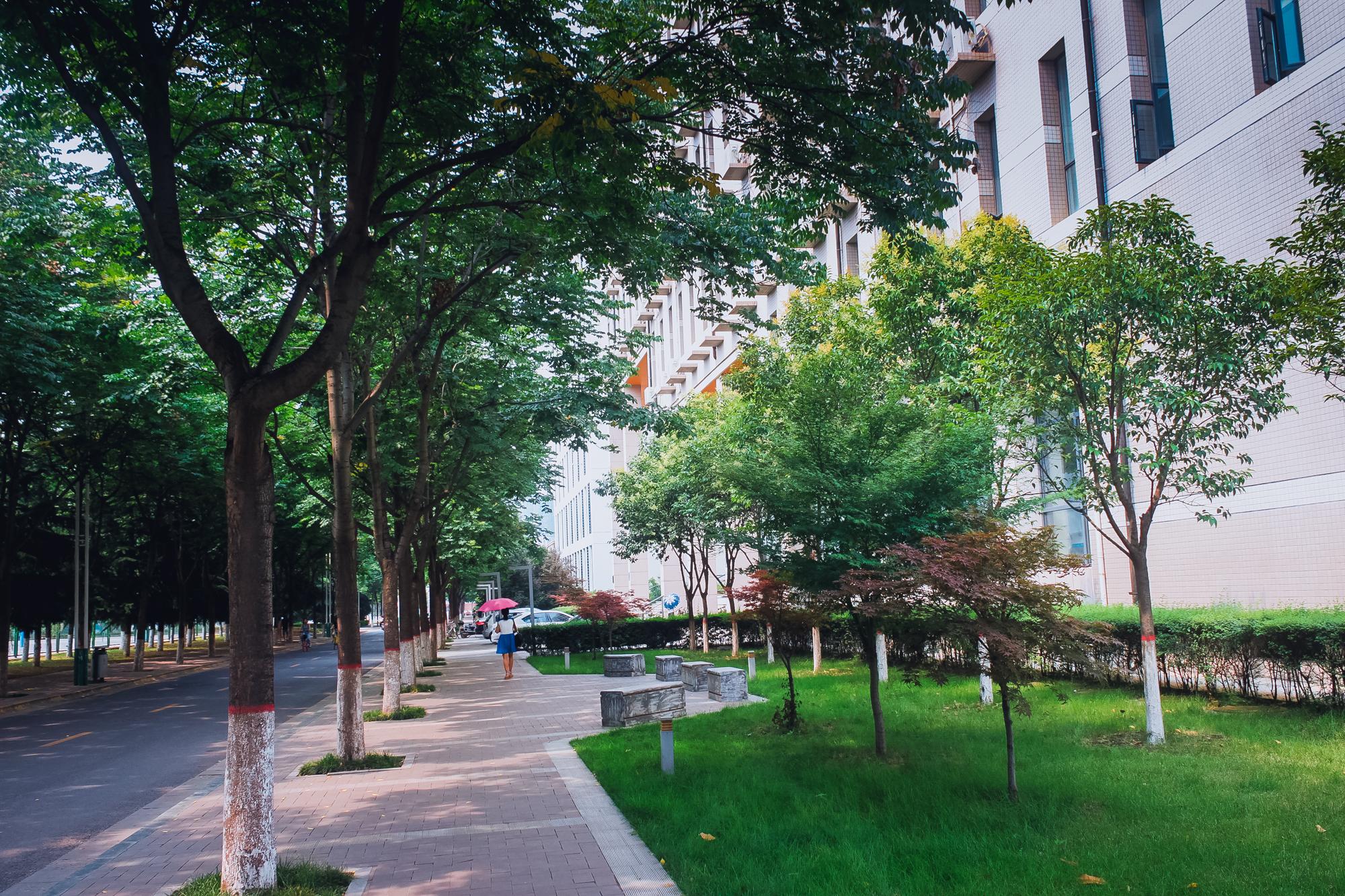 陕师大长安校区，陕师大有几个校区（陕师大有几个校区地址）