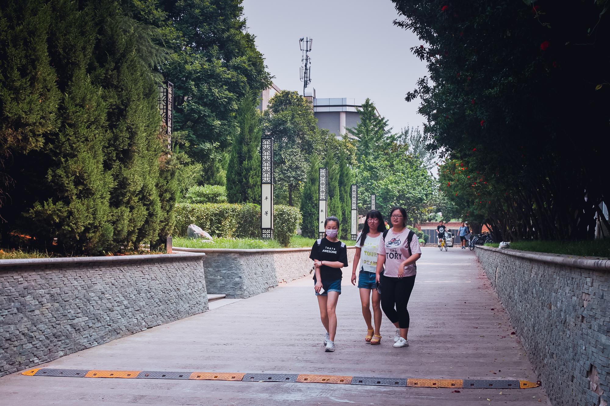陕师大长安校区，陕师大有几个校区（陕师大有几个校区地址）