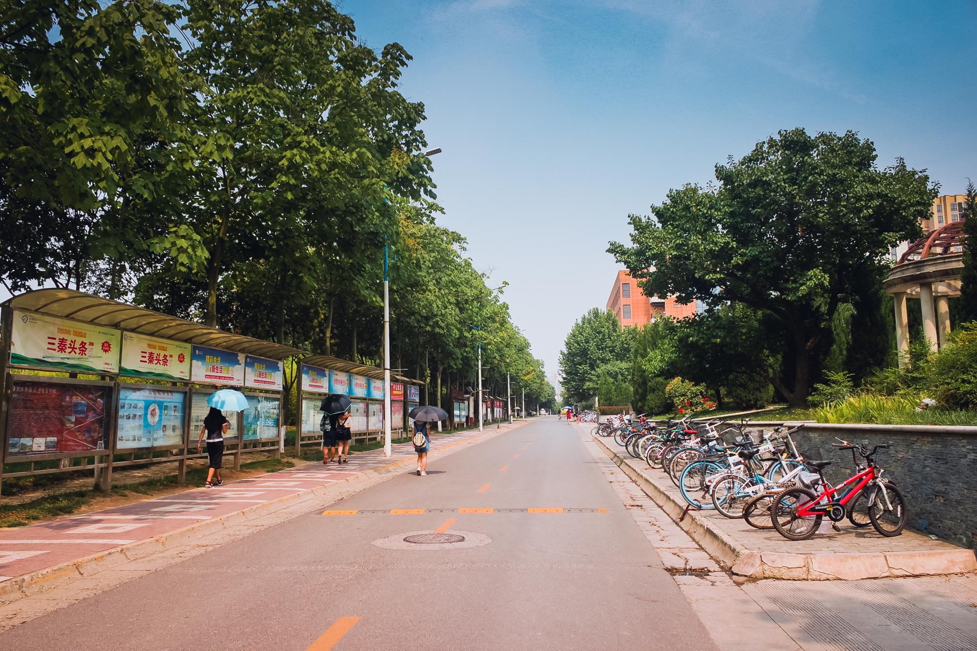 陕师大长安校区，陕师大有几个校区（陕师大有几个校区地址）