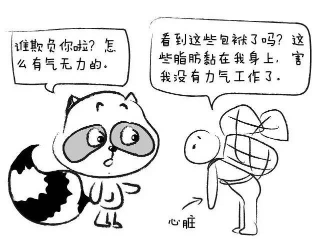 腰围80算粗吗，腰围多少才算标准（这些器官也不答应）