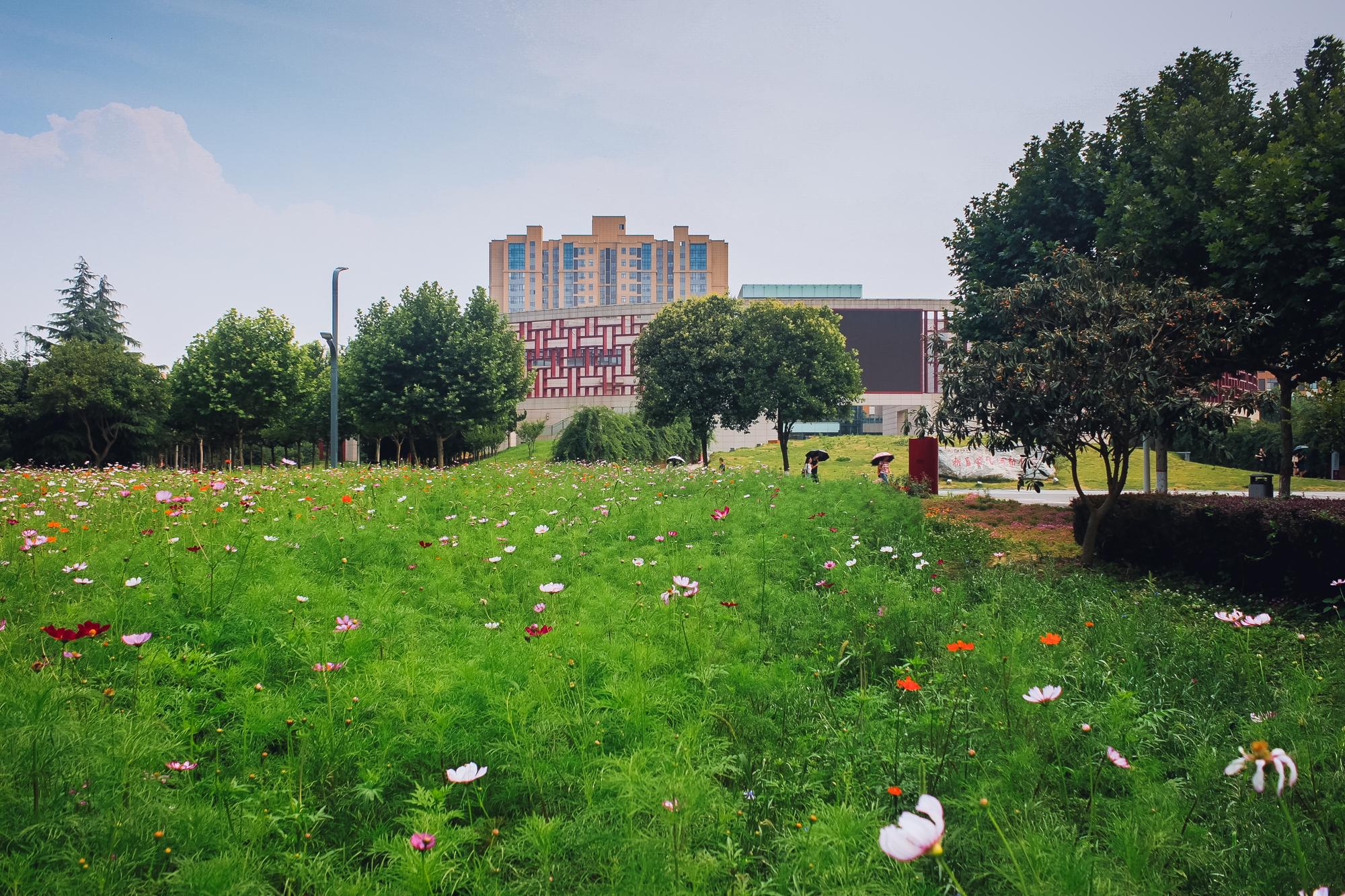 陕师大长安校区，陕师大有几个校区（陕师大有几个校区地址）