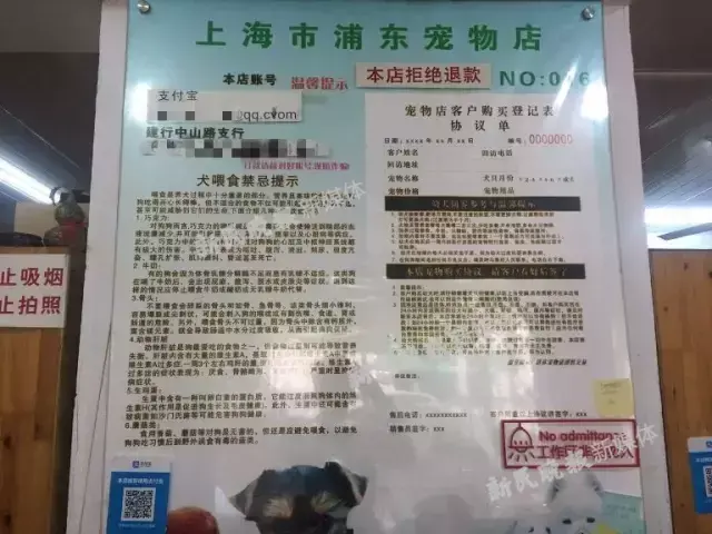 为什么星期狗在宠物店不会死（宠物店照顾星期狗的五大秘诀）