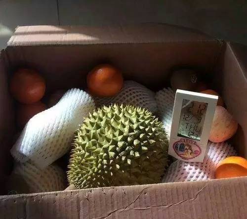 没开口的榴莲晒太阳熟得快吗，榴莲没有开口可以打开吗（原来不成熟榴莲还可以这样催熟）