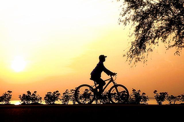 梦见骑自行车是什么意思，梦见骑自行车是什么意思呢（努力今晚梦飞机吧~在梦中快是好事）