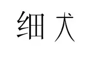 拉萨狮子犬体征和特点有哪些？（了解拉萨狮子犬的外貌和性格特征）