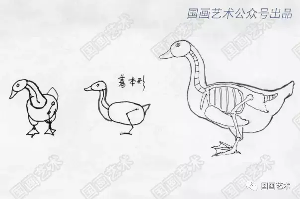 简笔画鸭子的画法，鸡的画法简笔画（如何画好家禽动态简笔画）