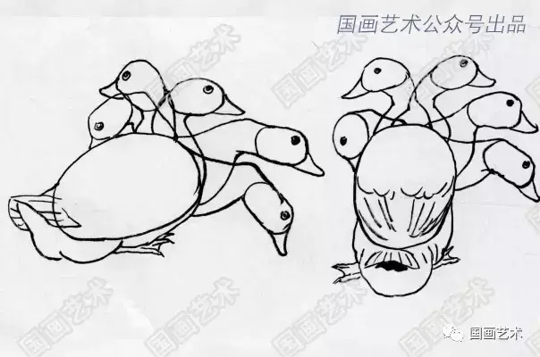 简笔画鸭子的画法，鸡的画法简笔画（如何画好家禽动态简笔画）