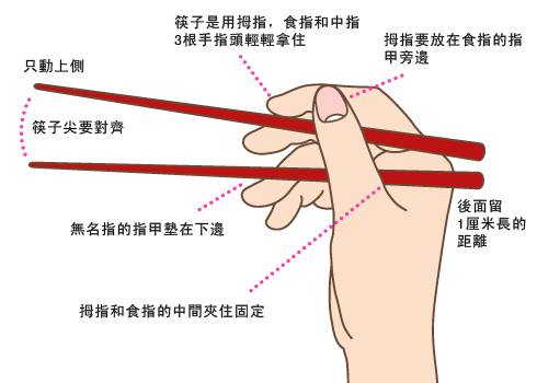 拿筷子的正确姿势，如何正确拿筷子（筷子的正确拿法图解）