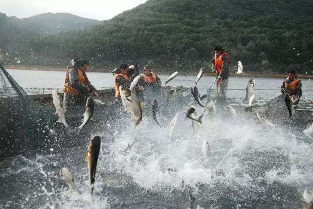 弓长岭水上乐园，弓长岭免费旅游胜地（来弓长岭必玩的五大体验）