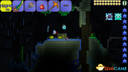 泰拉瑞亚森林和丛林的区别，泰拉瑞亚环境改造枪怎么得