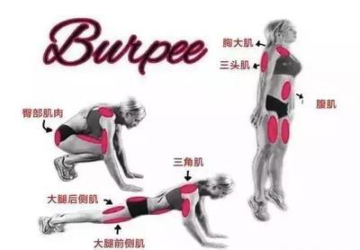 立卧撑跳正确姿势是什么，立卧撑蹲跳起怎么做（立卧撑跳，最强的燃脂训练！）