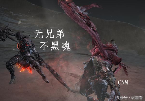 黑魂3希里斯大桥入口没有符，黑魂3希里斯白符（血源黑魂仁王的表情包）