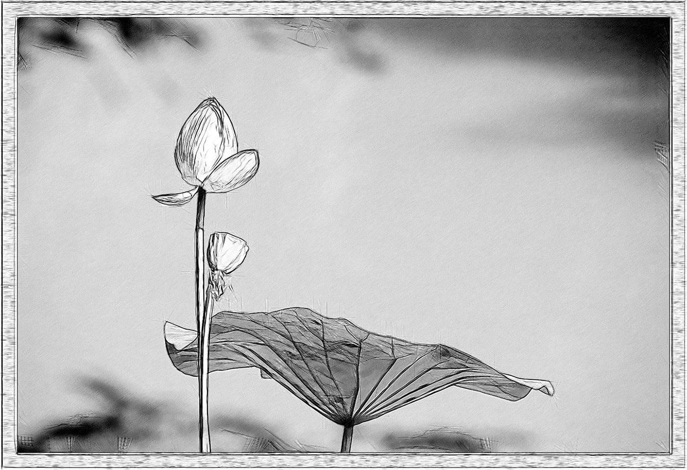 山色空蒙雨亦奇的上一句，山色空蒙雨亦奇的上一句是什么（今日诗词：水光潋滟晴方好）