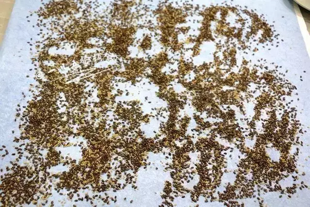 黄金亚麻籽粉的功效与作用，亚麻籽粉的作用与功效（均衡营养少不了亚麻籽）