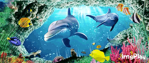 什么叫3D光栅画 什么叫立体画 什么叫冰晶画，什么叫3D光栅画（平面的画面不仅能变立体还能动）