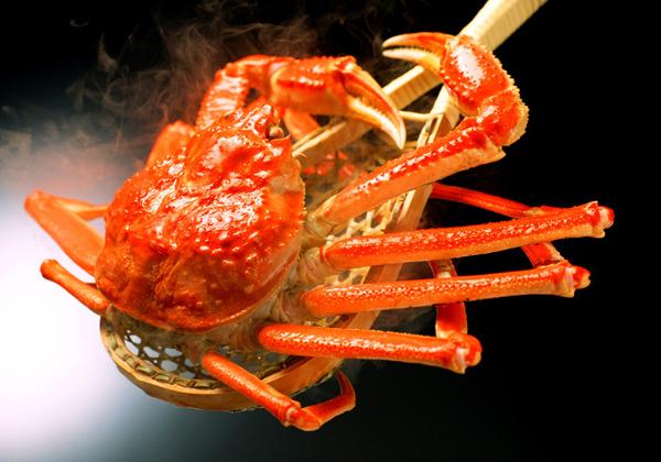 吃海星禁忌，海星食用禁忌（吃货准妈妈告诉你）