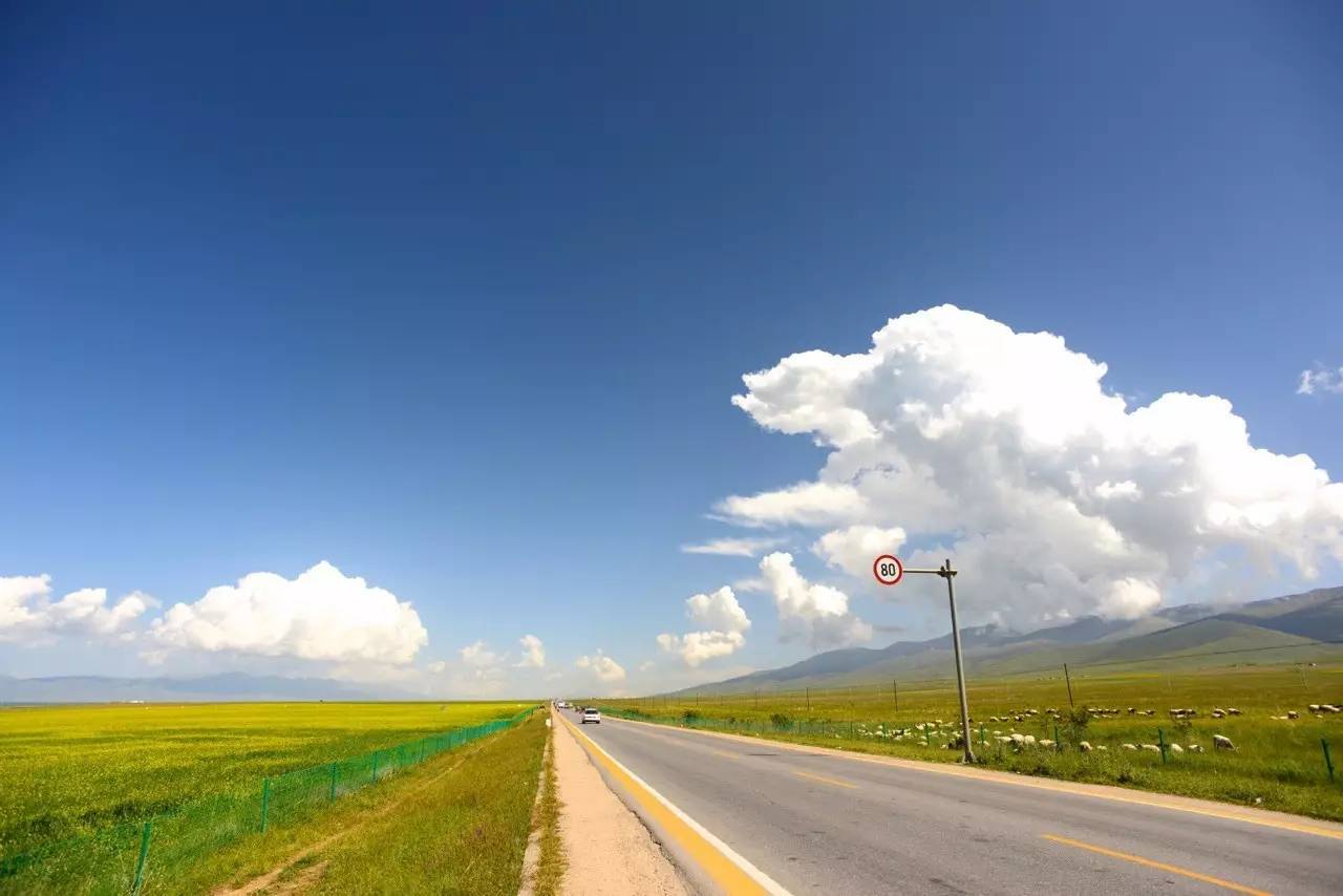 青海湖环湖多少公里，青海湖自驾旅游攻略（自驾青海湖环湖公路详细攻略）