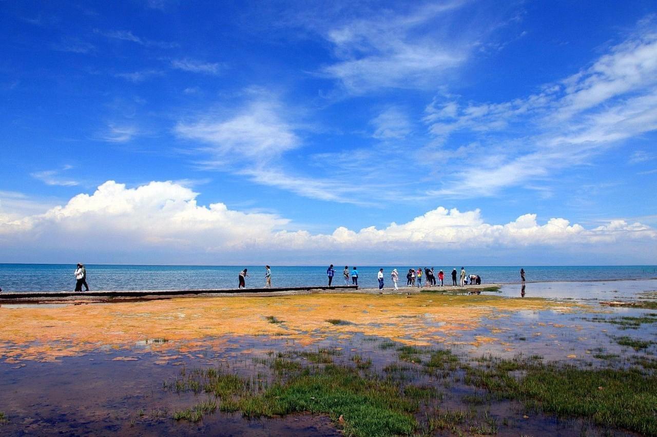 青海湖环湖多少公里，青海湖自驾旅游攻略（自驾青海湖环湖公路详细攻略）
