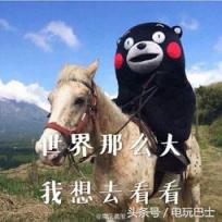 荀彧为什么叫百里守约，百里守约（《王者荣耀》百里守约即将上线）