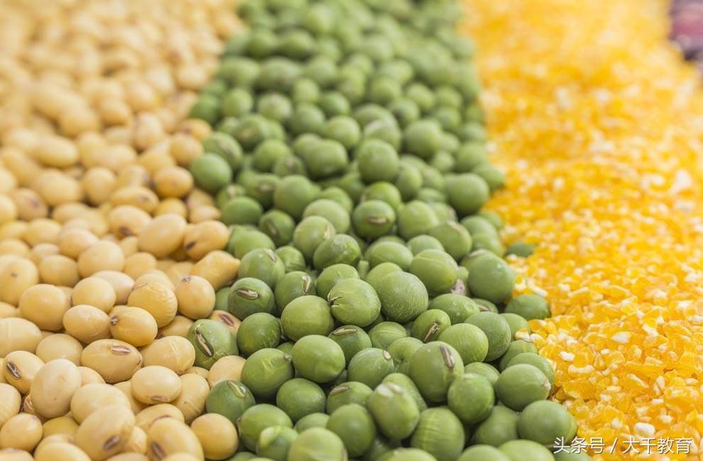 梦见女人拉屎什么预兆，梦见女人拉屎什么预兆解梦（你梦到这些，到底代表着什么）