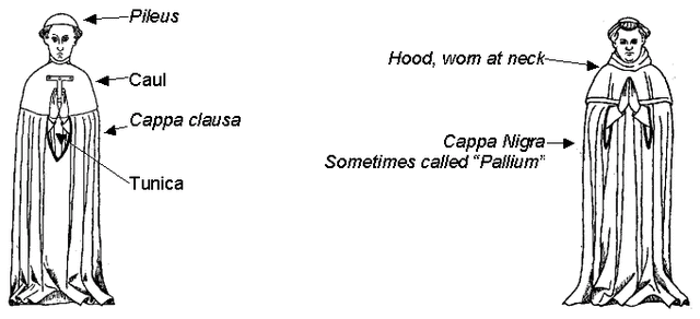 蓝色学士服是什么学位，学士服颜色分类是什么（毕业穿学位服的传统是哪来的）