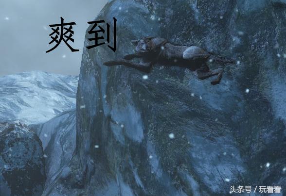 黑魂3希里斯大桥入口没有符，黑魂3希里斯白符（血源黑魂仁王的表情包）