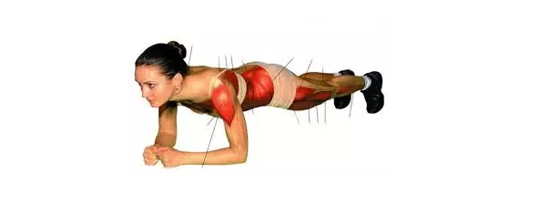 雪上一枝蒿，真的撑的越久越牛掰吗（雪上一枝蒿的功效与作用及禁忌）