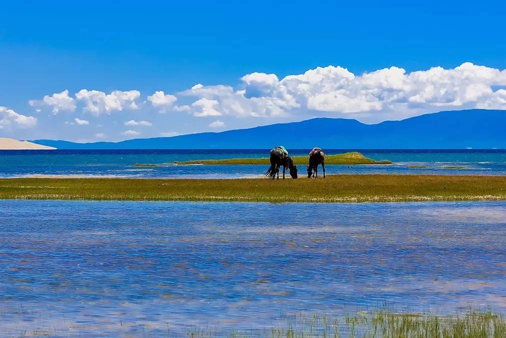 青海湖环湖多少公里，青海湖自驾旅游攻略（自驾青海湖环湖公路详细攻略）