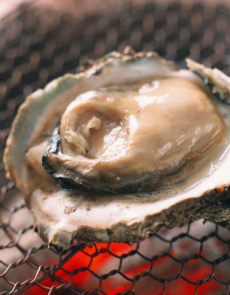 吃海星禁忌，海星食用禁忌（吃货准妈妈告诉你）