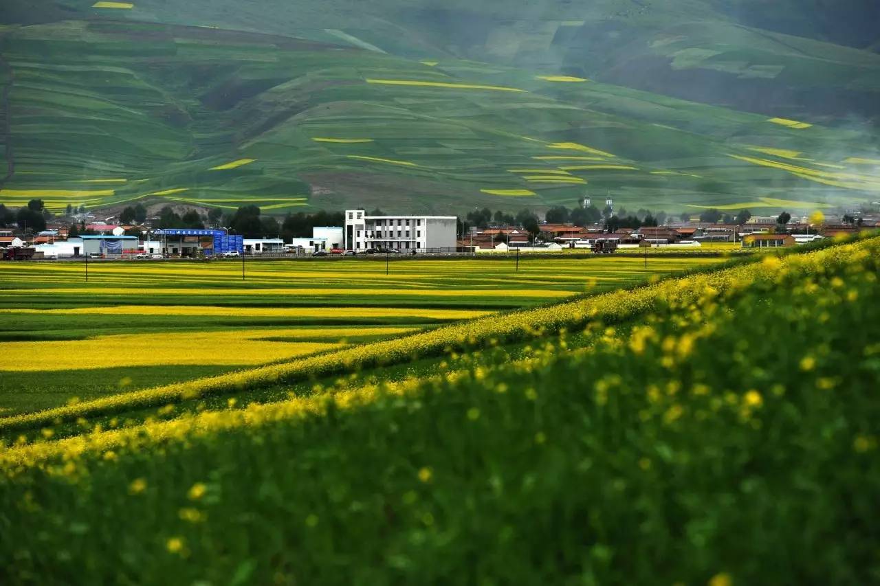 青海湖环湖多少公里，青海湖自驾旅游攻略（自驾青海湖环湖公路详细攻略）