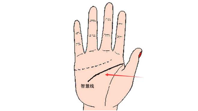 手相怎么看财运，看手相算命大师（有这几种手相特征的人）