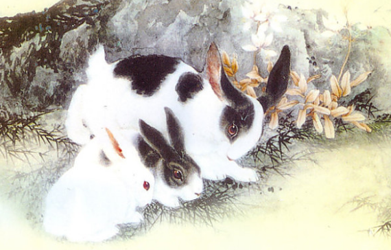 生肖兔35岁以后命数已定，属兔的过了35岁就顺了（今年不走衰运还发财）