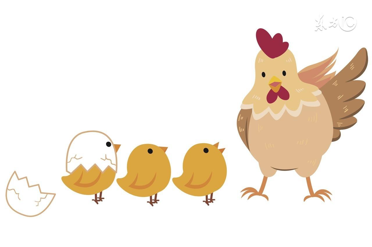 属鸡的今年多大，属鸡的今年多大57年出生（生肖鸡17年多大啦）