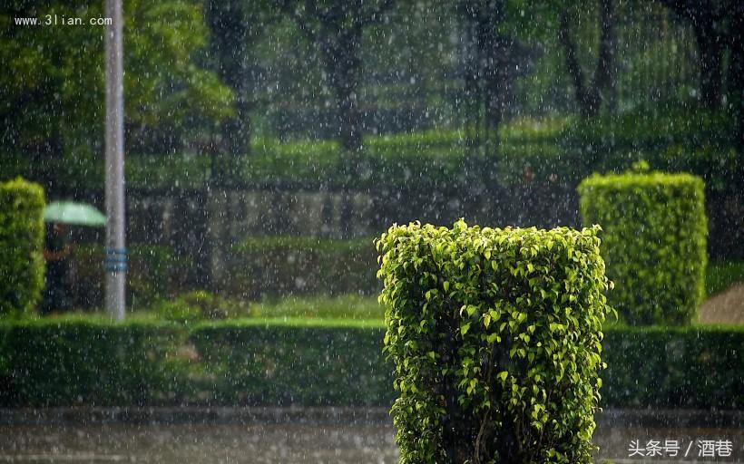 梦见离家出走什么预兆，梦见离家出走什么预兆解梦（梦到下大雨，有什么征兆吗）