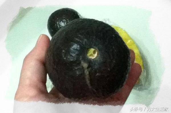 牛油果怎么看熟不熟，牛油果怎么看熟不熟需要去皮吗（牛油果怎么挑）