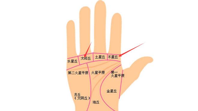 手相怎么看财运，看手相算命大师（有这几种手相特征的人）