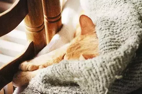 6个字个性签名，六个字的个性签名唯美（最好的个性签名，只需要六个字）