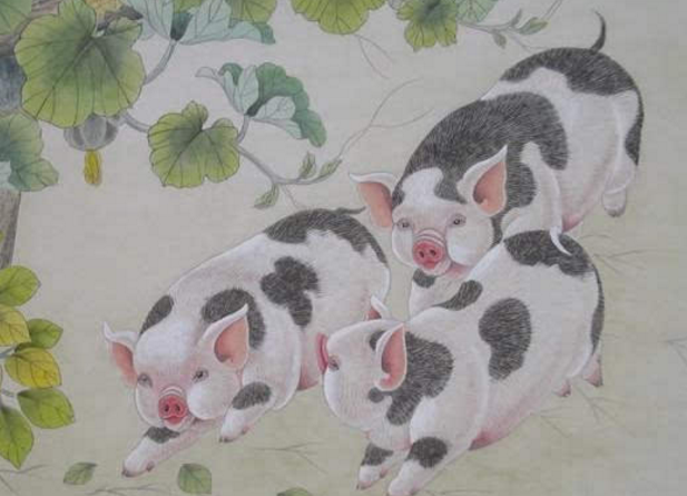 生肖兔35岁以后命数已定，属兔的过了35岁就顺了（今年不走衰运还发财）