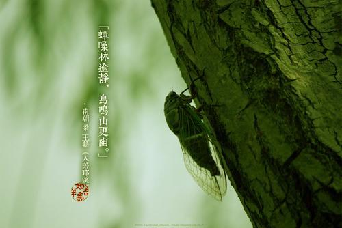 蝉噪林逾静,鸟鸣山更幽.