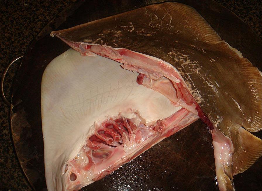 鳐鱼的做法,红烧鳐鱼的做法(家常菜谱——蒜香鯆鱼)