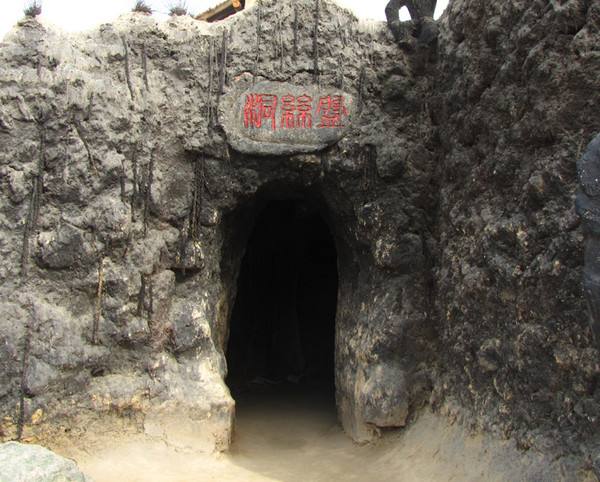 壁虎吃什么，壁虎吃什么食物（壁虎对小强更具杀伤力）