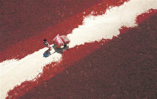 北纬30度中国行重庆，北纬三十度旅行日记（风情土家 康养石柱）