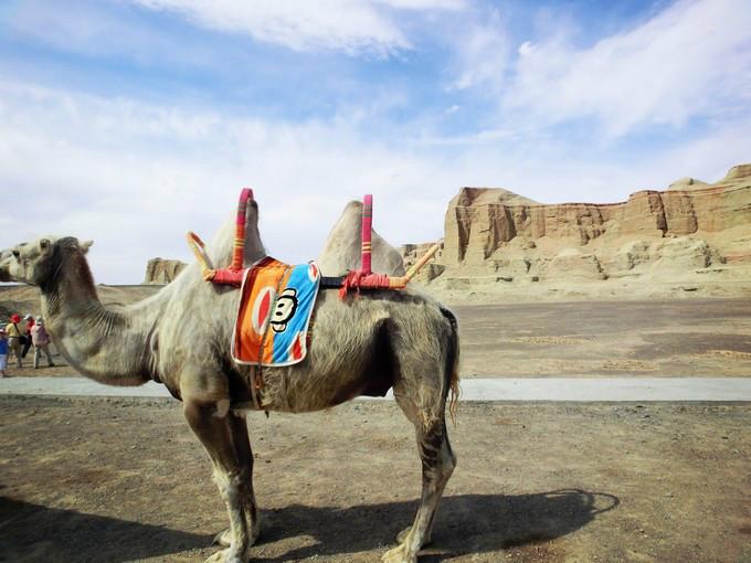 关于新疆的资料，新疆——有生之年，必来之地