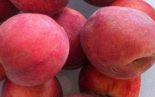 血桃几月成熟，血桃哪个产地最好吃（中华血桃什么时候成熟）