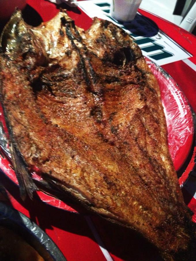 关于新疆的资料，新疆——有生之年，必来之地